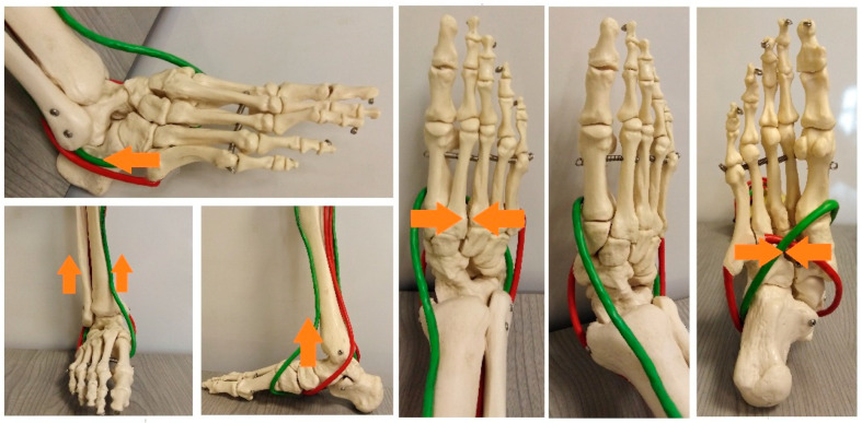 Figure 5