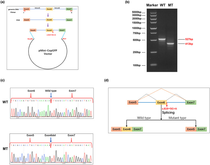 FIGURE 3