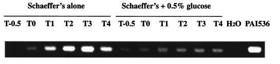 FIG. 6