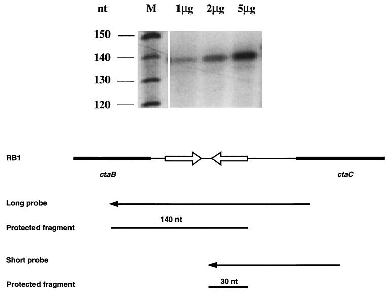 FIG. 5