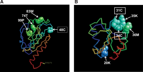 FIG. 6.