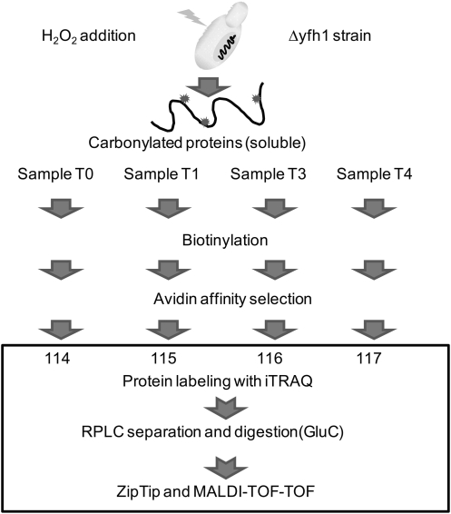 FIG. 2.