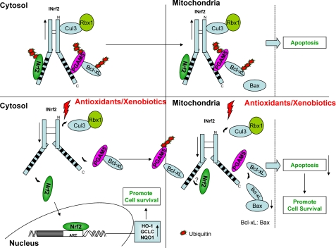 FIGURE 11.