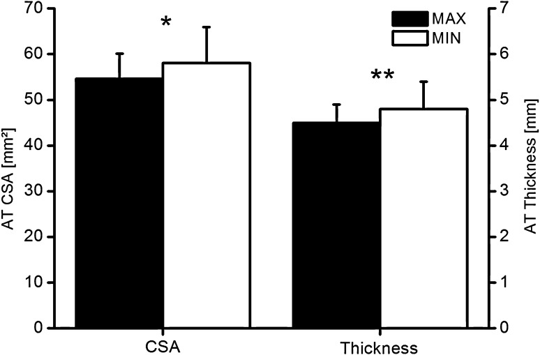 Fig. 5