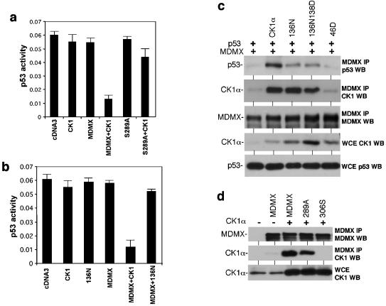 FIG. 8.