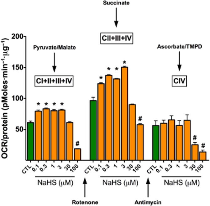 Figure 12