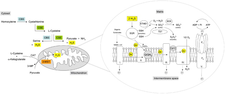 Figure 18