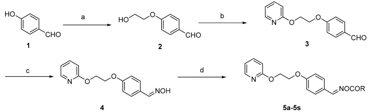 Scheme 1