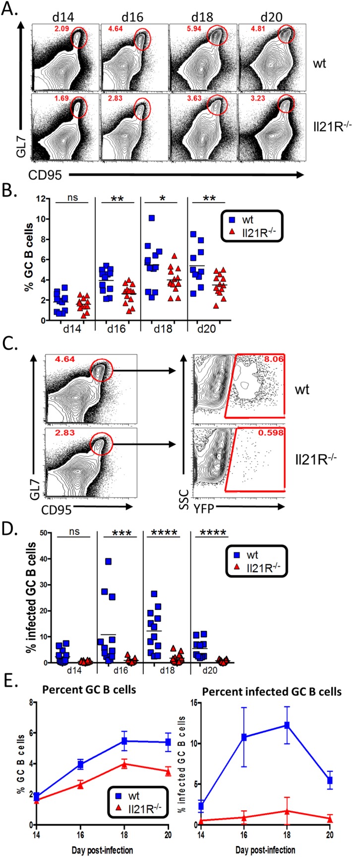 Fig 4