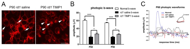 Fig 7