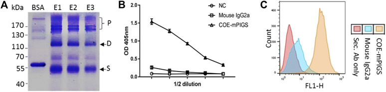 FIGURE 3