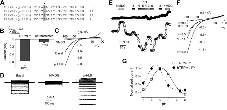 FIGURE 5.