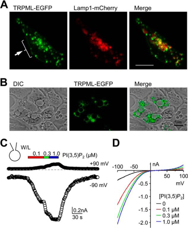 FIGURE 2.