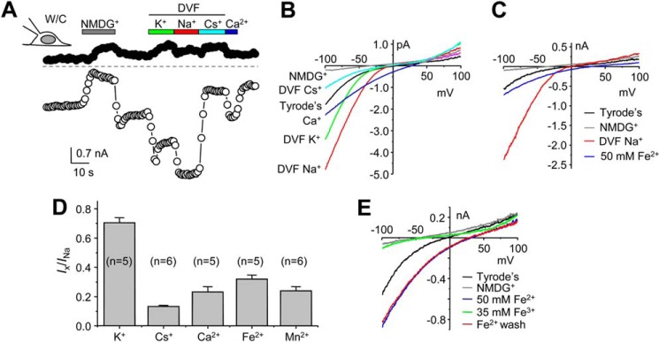 FIGURE 6.