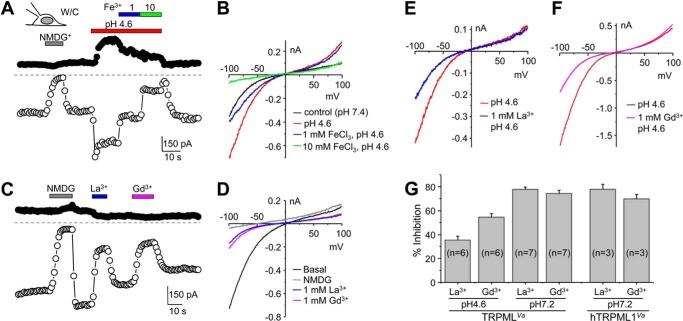 FIGURE 7.