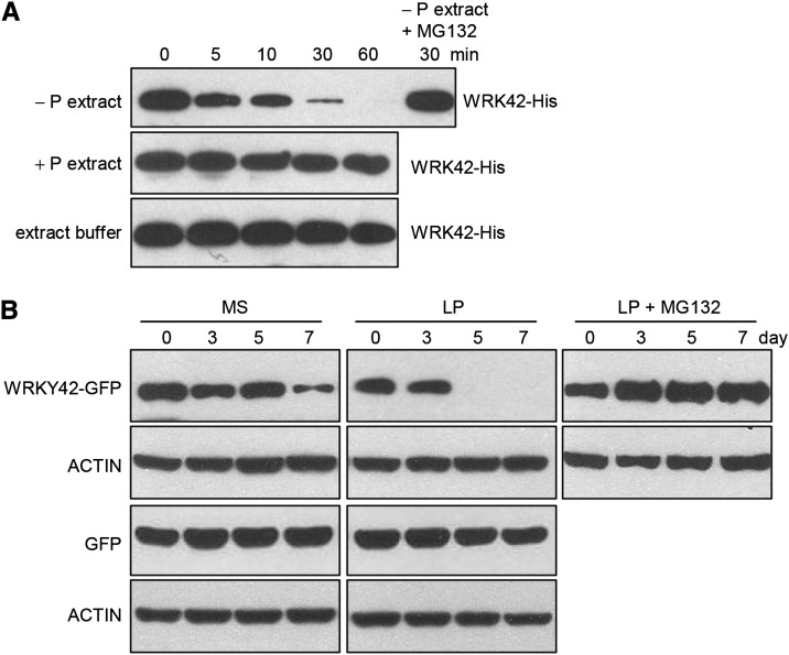 Figure 10.