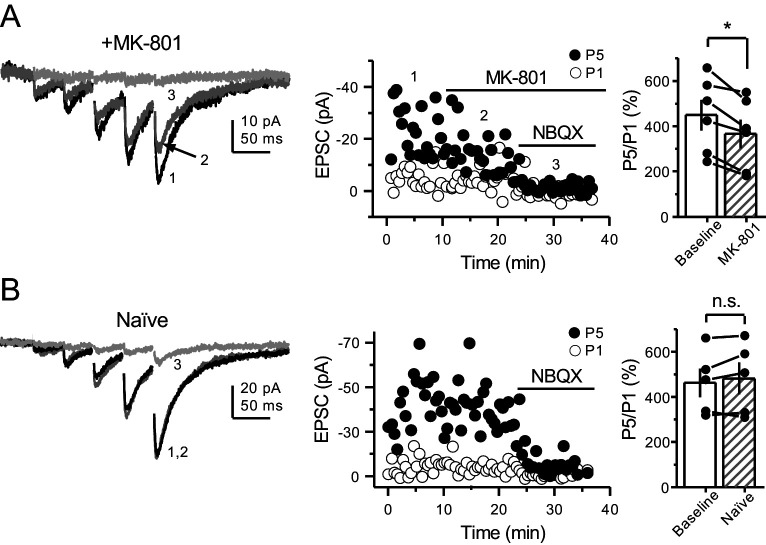 Figure 4—figure supplement 1.