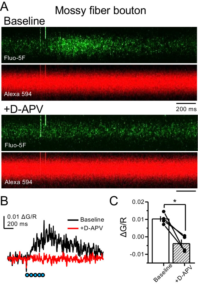 Figure 6—figure supplement 3.