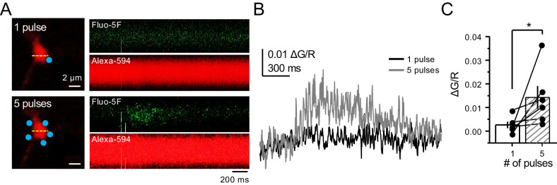 Figure 6—figure supplement 2.