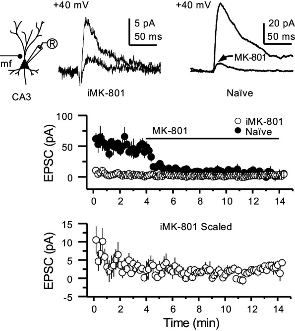 Figure 1—figure supplement 3.