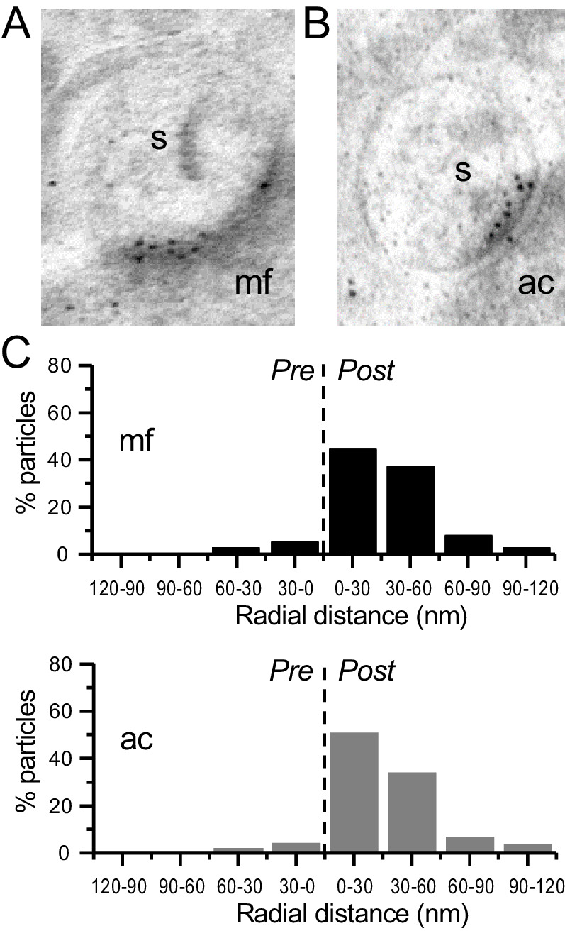 Figure 1—figure supplement 1.