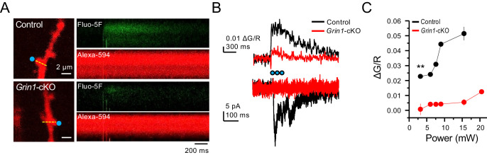 Figure 6—figure supplement 1.