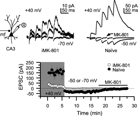 Figure 4—figure supplement 3.