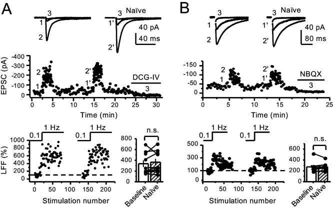 Figure 1—figure supplement 2.