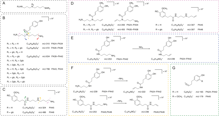 Fig. 9