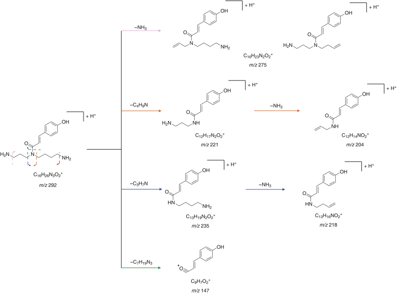 Fig. 7