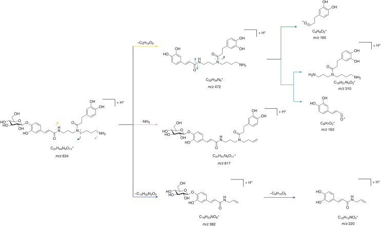 Fig. 3