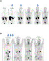 Figure 2A: