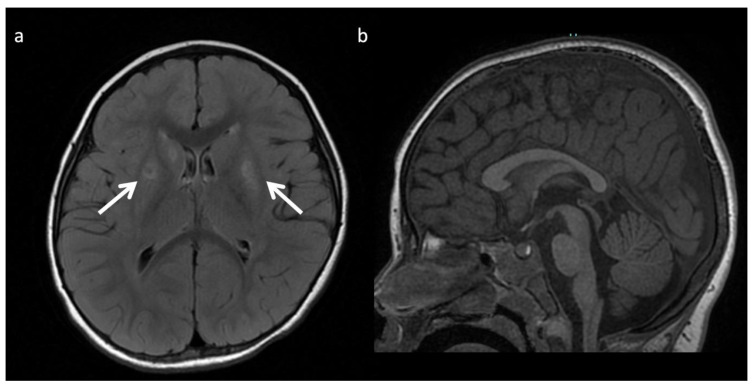 Figure 16