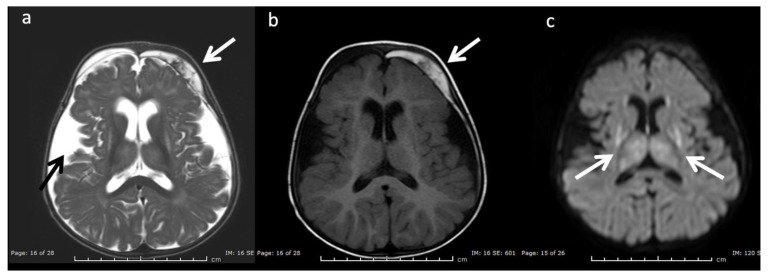 Figure 10