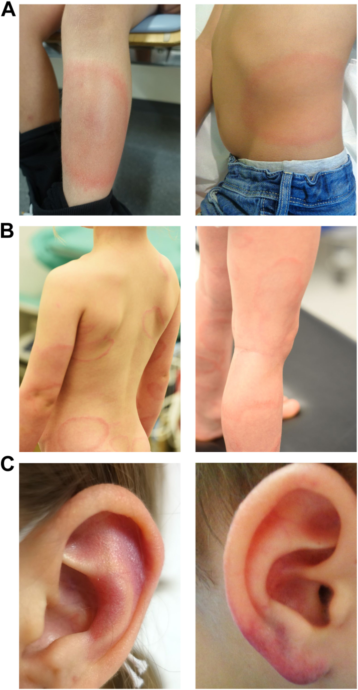 Fig. 3