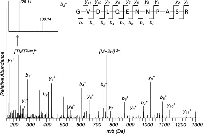 Fig. 4.