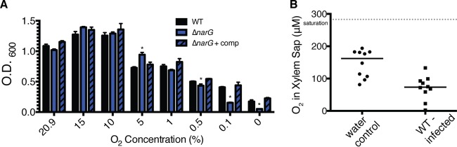 FIG 2 