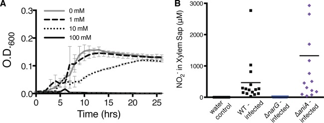 FIG 5 