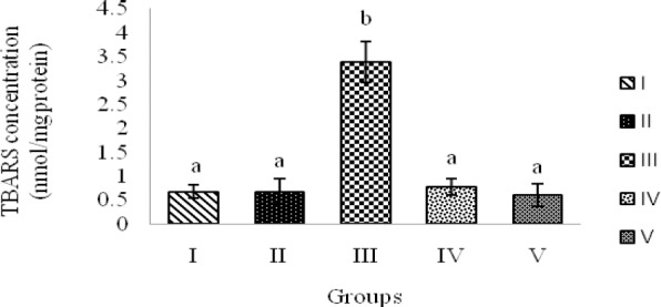 Fig. 5