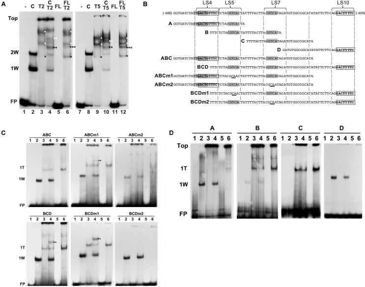 FIGURE 6