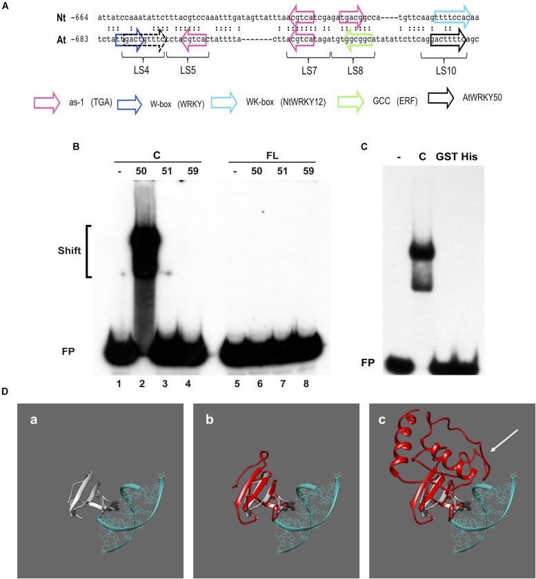 FIGURE 3