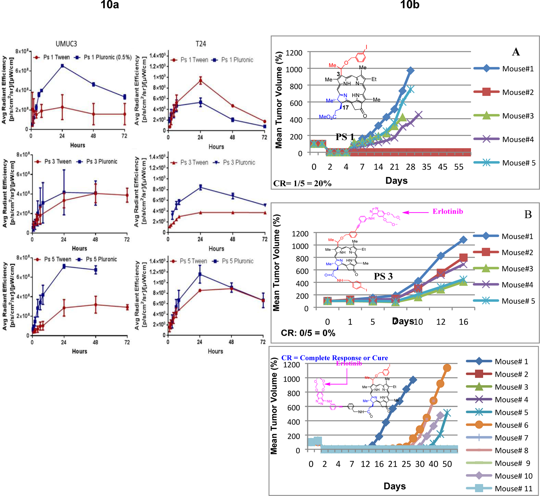 Figure 10