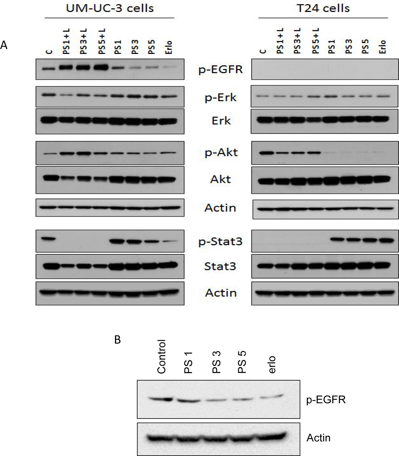 Figure 6: