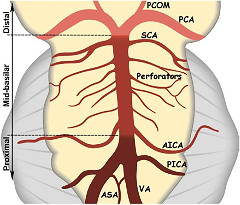 Figure 2.