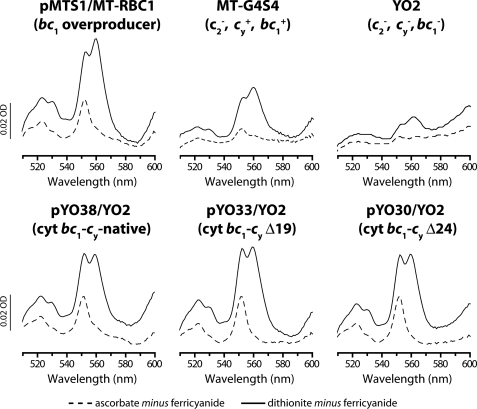 FIGURE 3.