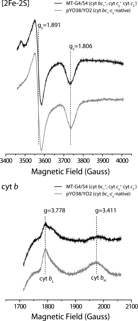 FIGURE 4.