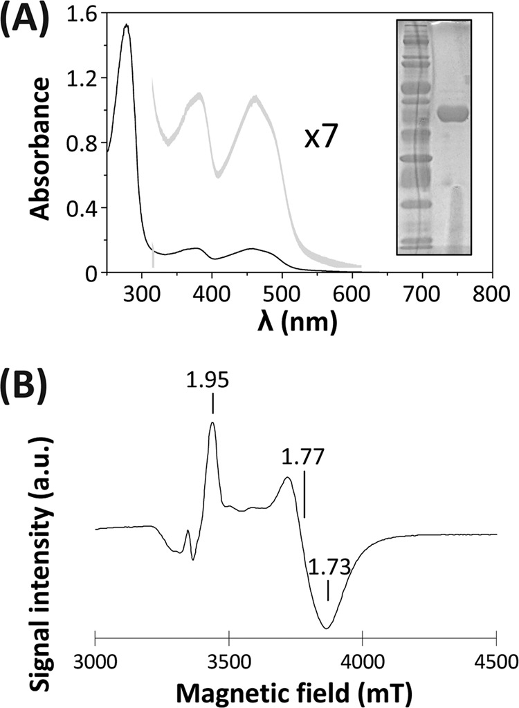 Fig 2