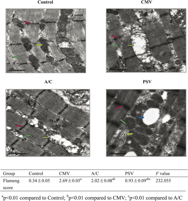 FIGURE 4