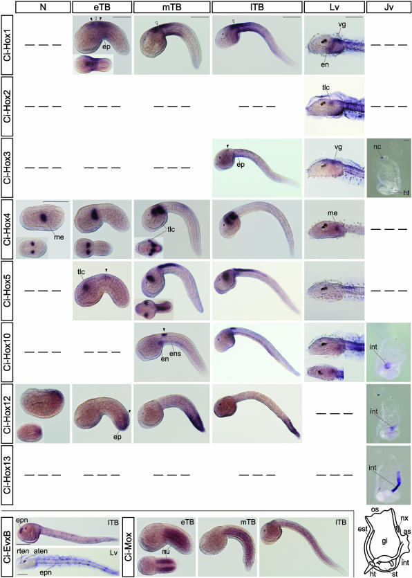 Fig. 3.