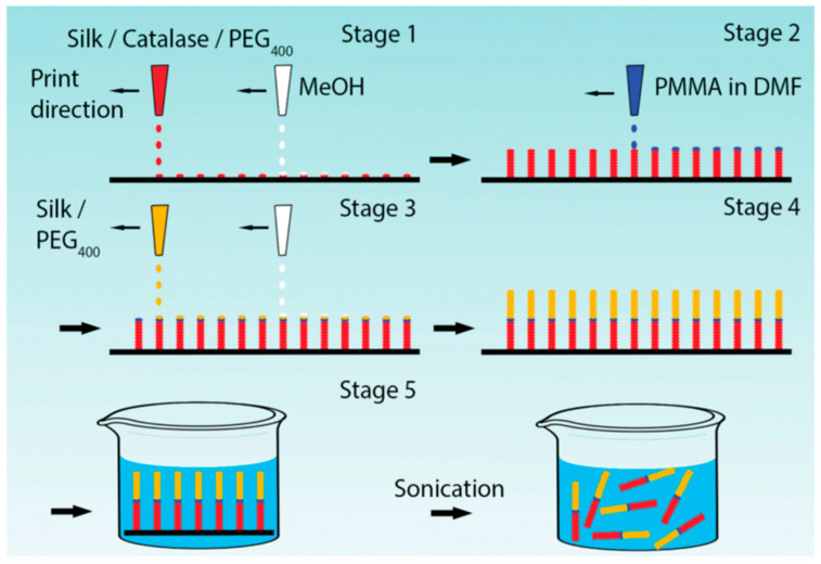 Figure 11